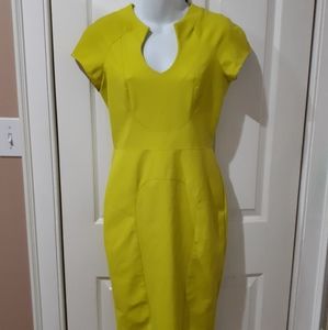 Femme De Carriere Neon Dress